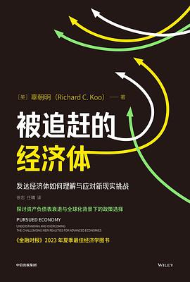 被追赶的经济体 封面