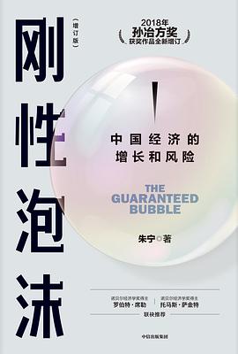 刚性泡沫（增订版） 封面