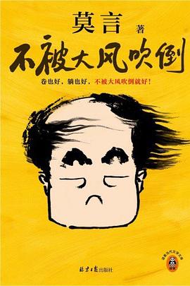 不被大风吹倒 封面