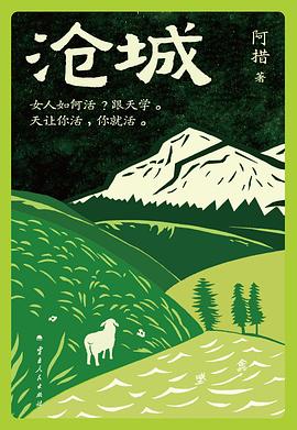 沧城 封面