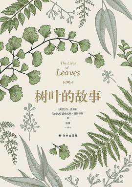 树叶的故事 封面
