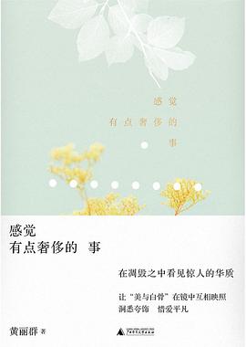 感觉有点奢侈的事 封面