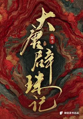 大唐辟珠记 封面