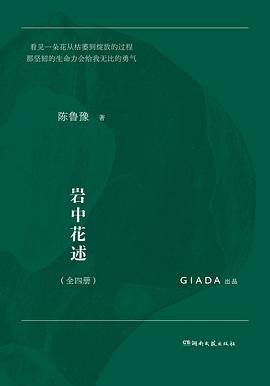 岩中花述：全四册 封面