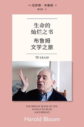 生命的灿烂之书 封面