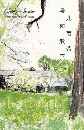 鸟儿如雨般落下 封面