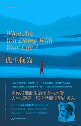 此生何为 封面