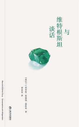 与维特根斯坦谈话 封面