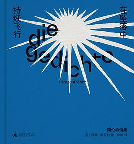 在坠落中持续飞行 封面