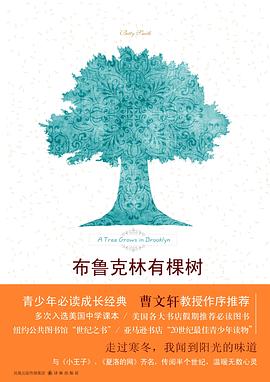 布鲁克林有棵树 封面