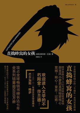 直捣蜂窝的女孩 封面