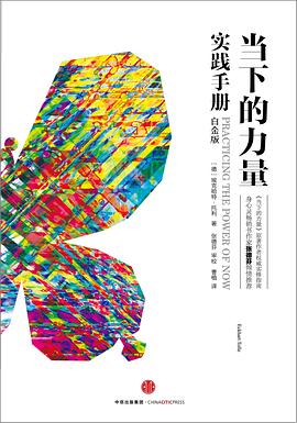当下的力量实践手册（白金版） 封面
