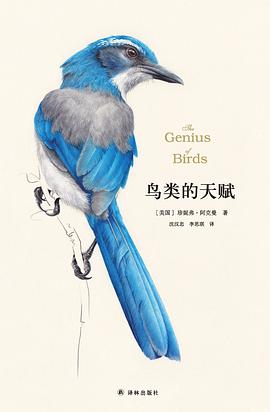 鸟类的天赋 封面