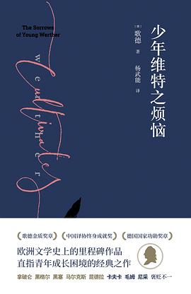 少年维特之烦恼 封面