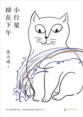 小行星掉在下午 封面
