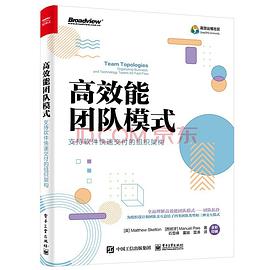 高效能团队模式 封面