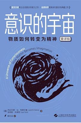 意识的宇宙 封面