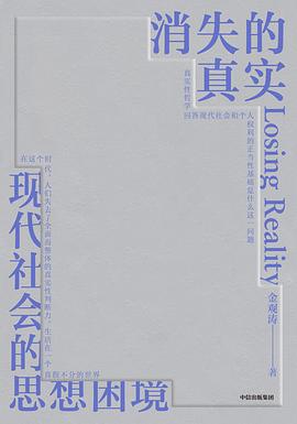 消失的真实 封面