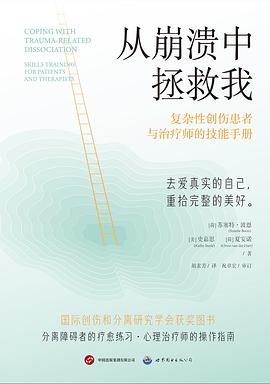 从崩溃中拯救我 封面