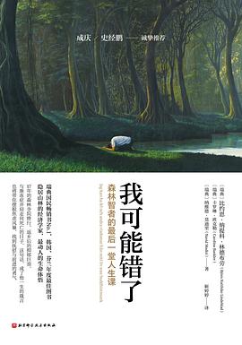我可能错了 封面
