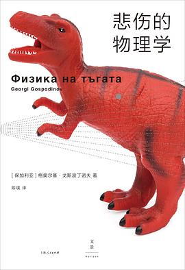 悲伤的物理学 封面