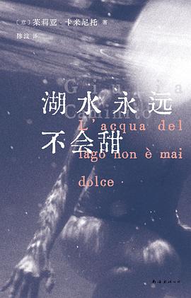 湖水永远不会甜 封面