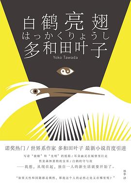 白鹤亮翅 封面