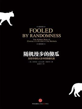 随机漫步的傻瓜 封面