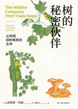 树的秘密伙伴 封面