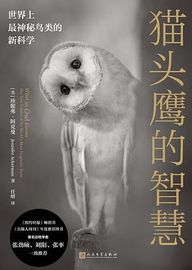 猫头鹰的智慧 封面