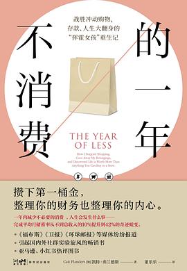 不消费的一年 封面