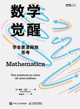 数学觉醒 封面