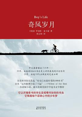 奇风岁月 封面