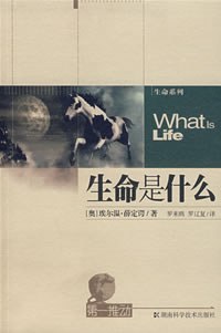 生命是什么 封面