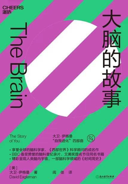 大脑的故事 封面